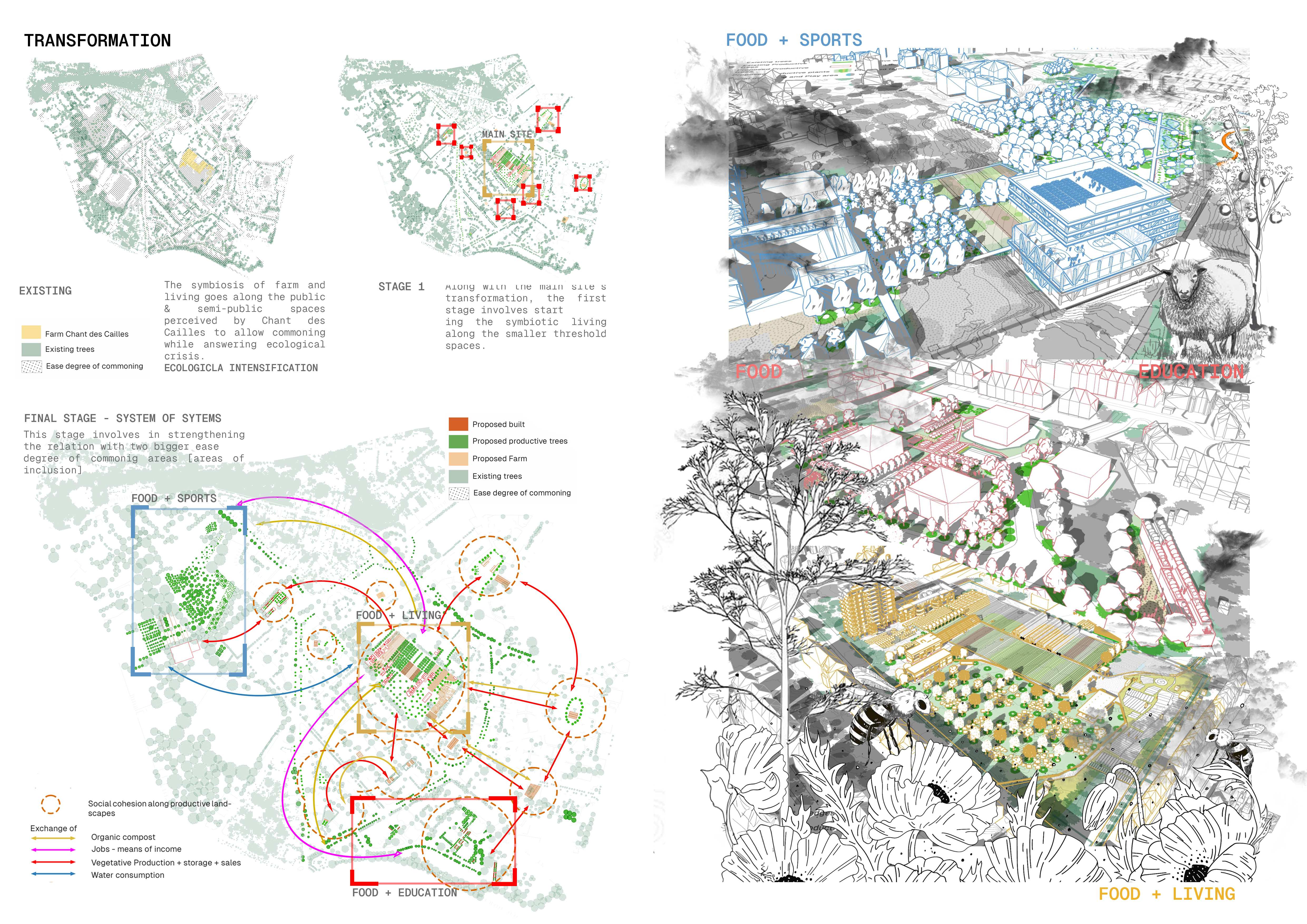 Threshold Transformations - Image 9