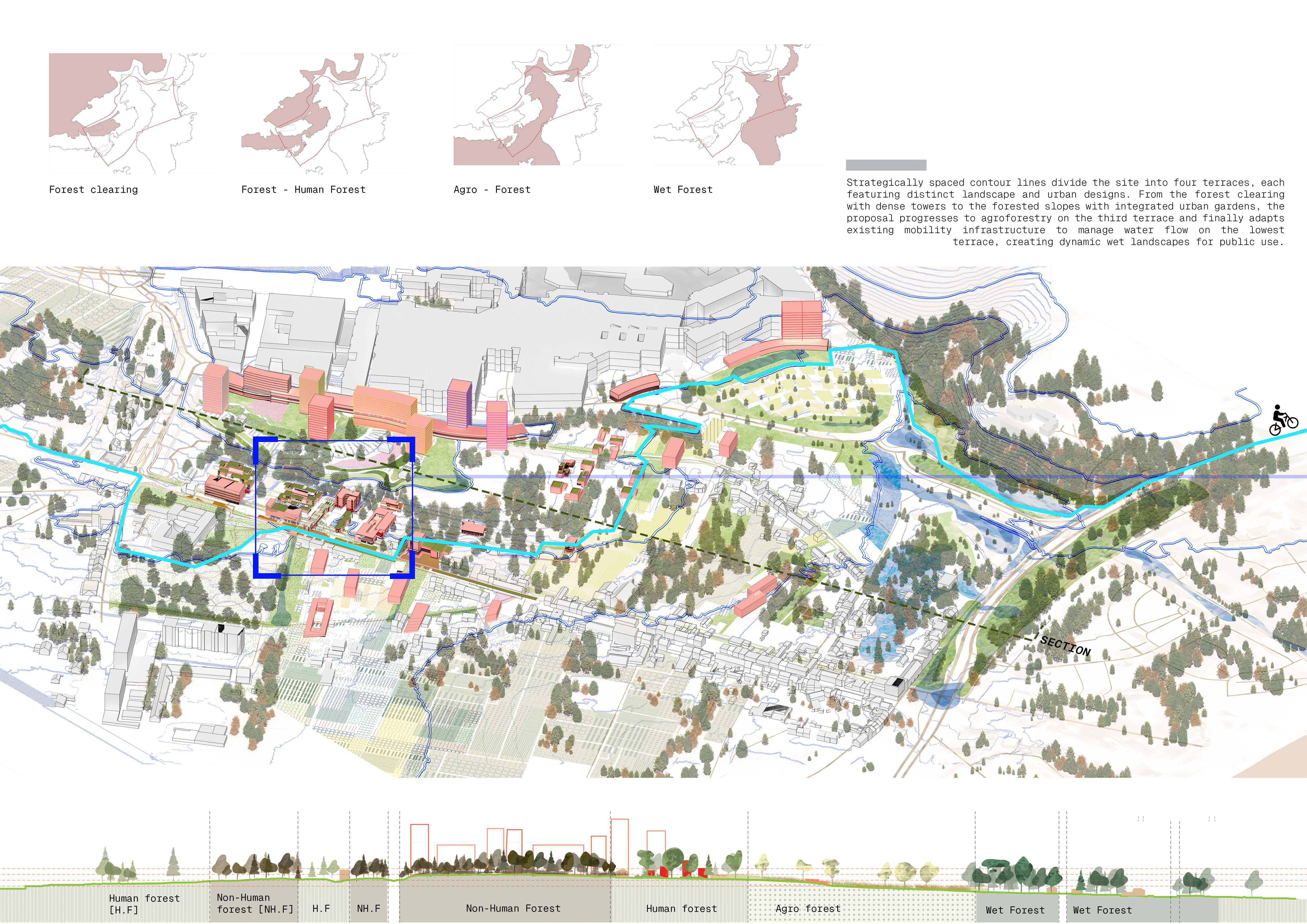 Urban Terraces - Image 2