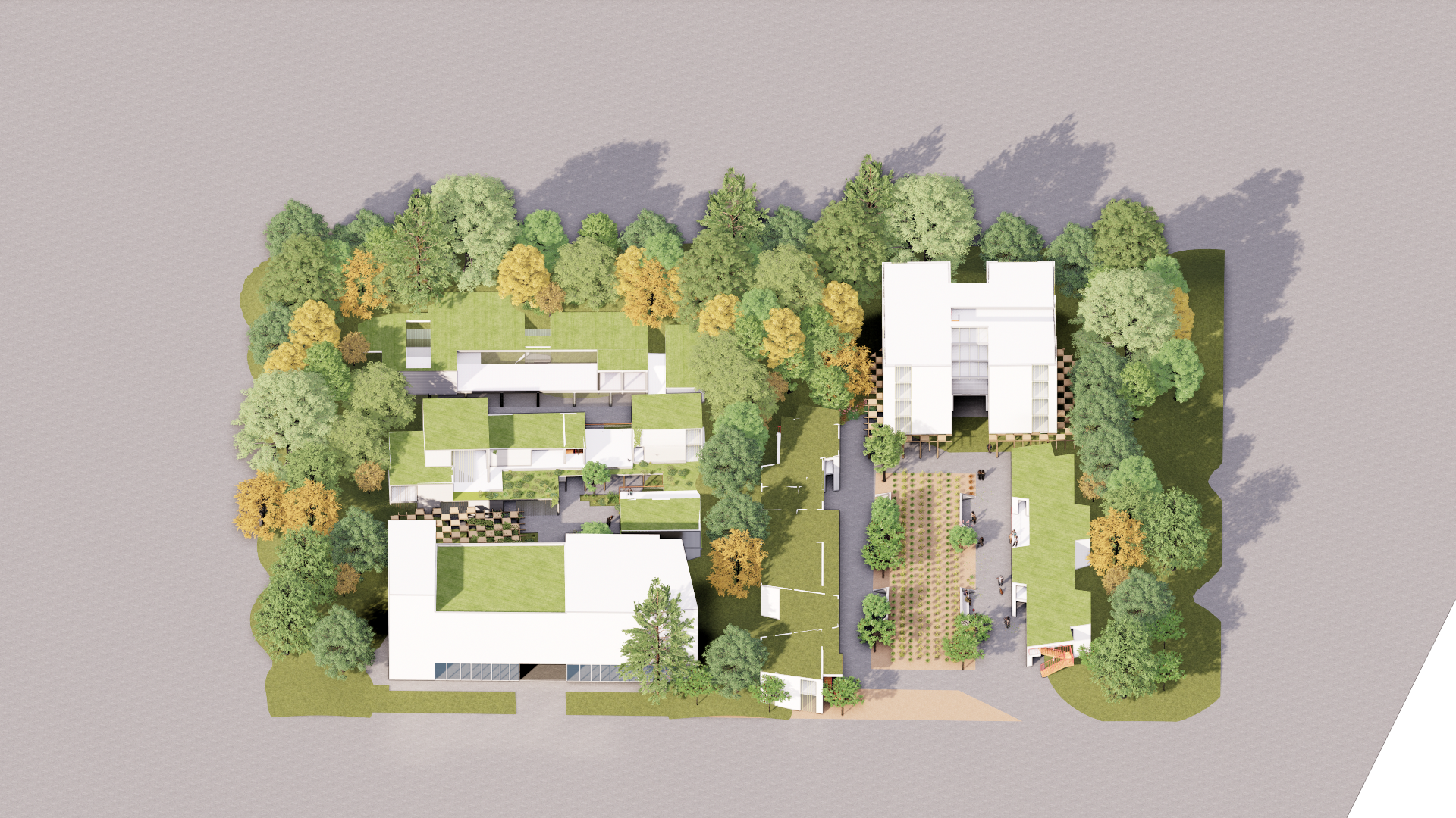 Urban Terraces - Image 6